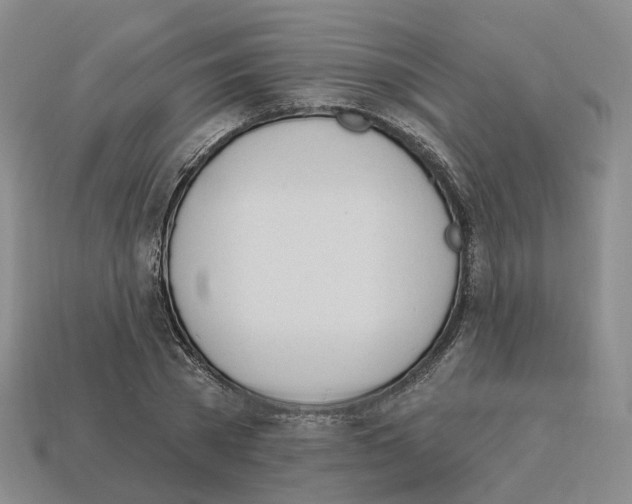 X0000114240785200911061547