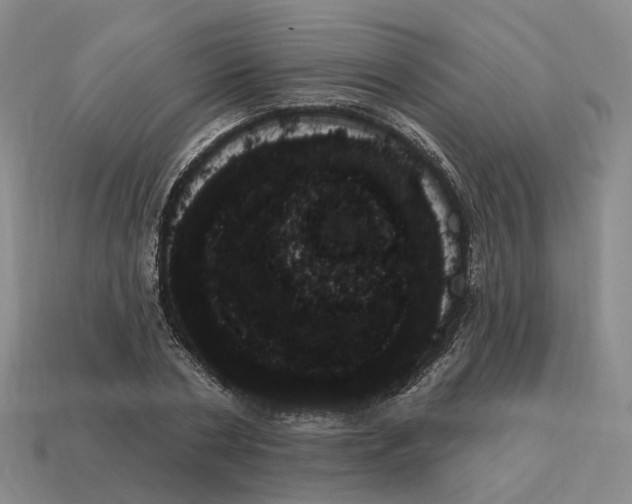 X0000114240786200911061547