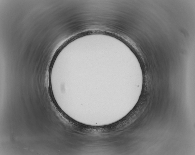 X0000114240791200911061547