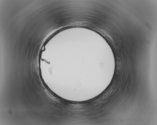 X0000114240792200911061547