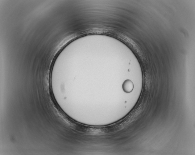 X0000114240794200911061547