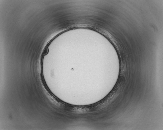 X0000114240795200911061547