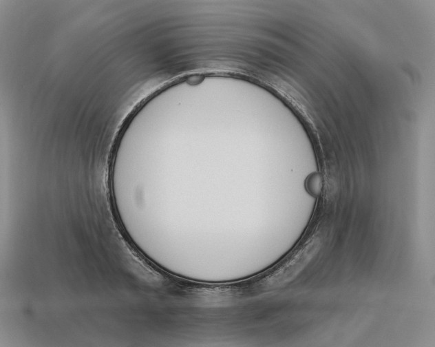 X0000114240797200911061547