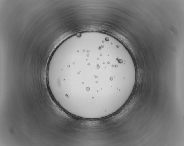 X0000114240802200911061547
