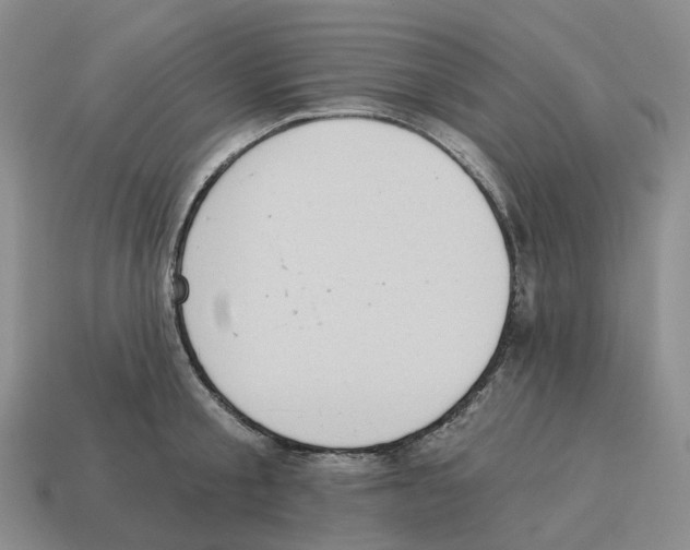 X0000114240805200911061546