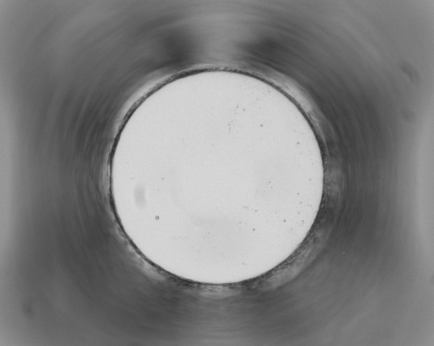 X0000114240807200911061546