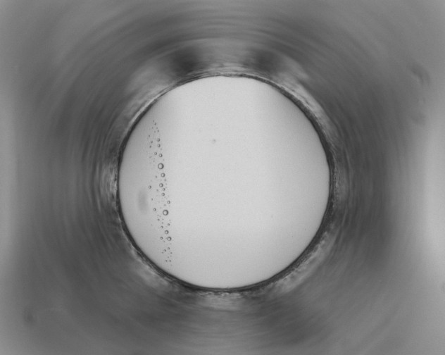 X0000114240809200911061546