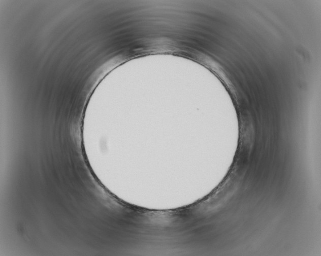 X0000114240810200911061546