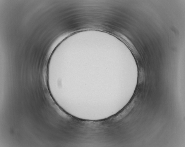 X0000114240812200911061546