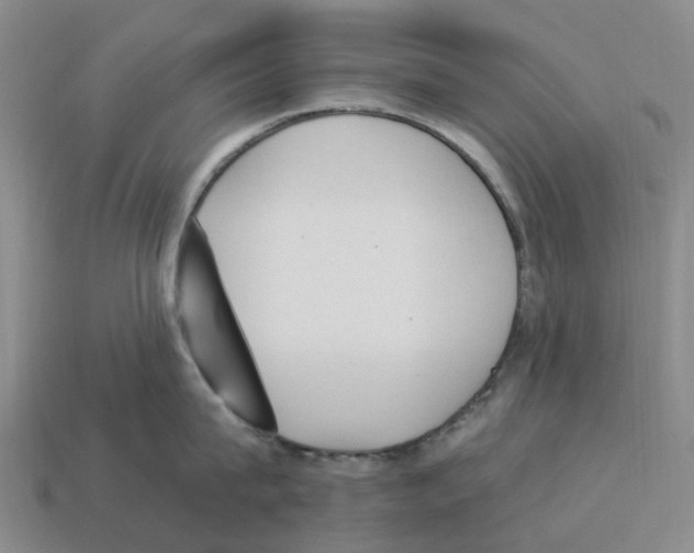 X0000114240815200911061546