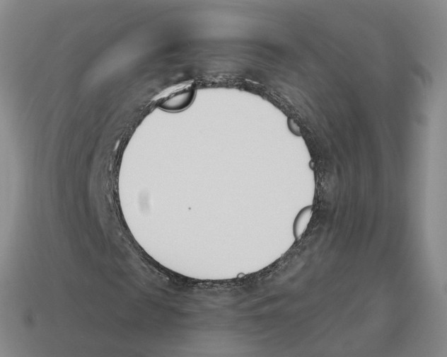 X0000114240817200911061546