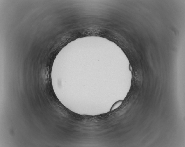 X0000114240818200911061546