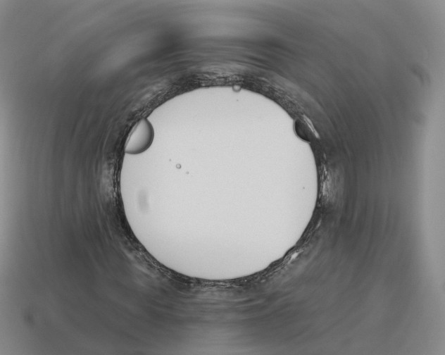 X0000114240819200911061546
