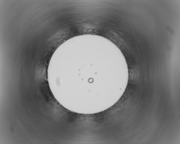 X0000114240820200911061546