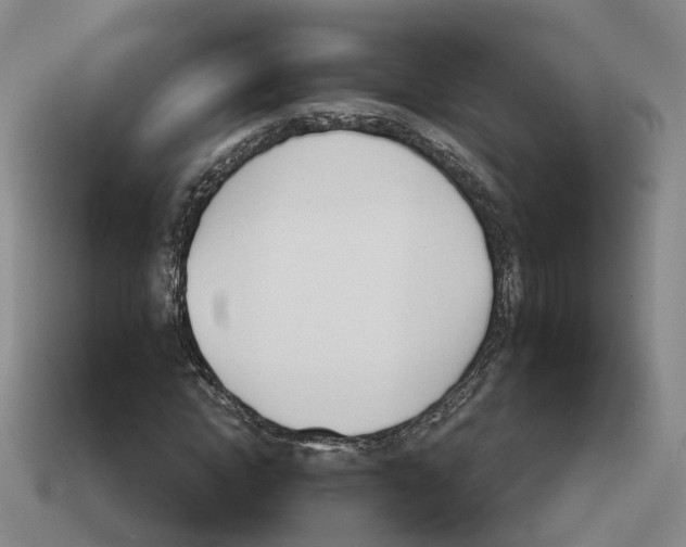 X0000114240822200911061546