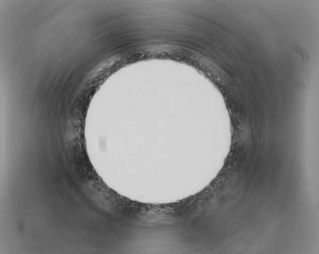 X0000114240824200911061546