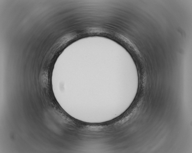 X0000114240825200911061546