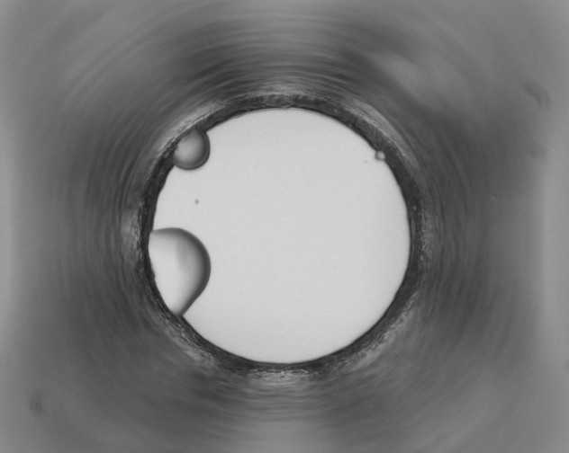 X0000114240826200911061546