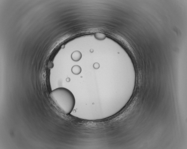 X0000114240827200911061546