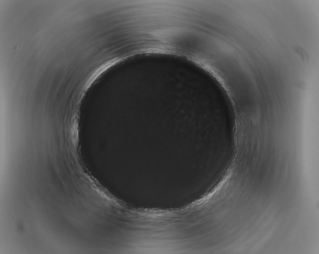 X0000114240829200911061546