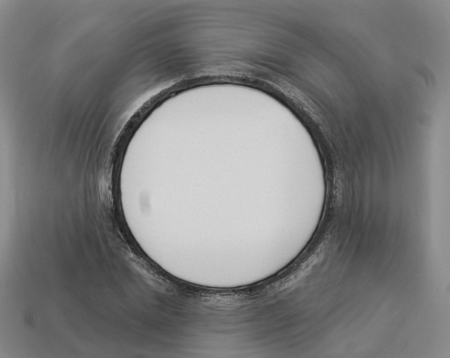 X0000114240830200911061546