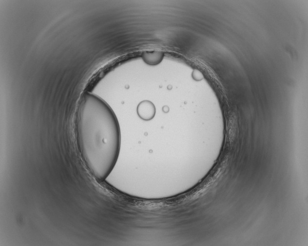 X0000114240831200911061546