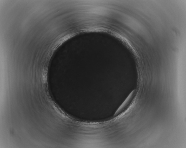 X0000114240833200911061546