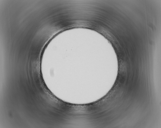X0000114240836200911061546