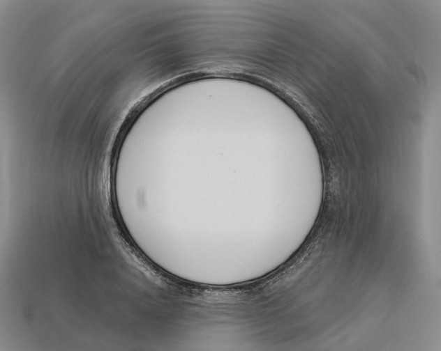 X0000114240840200911061546