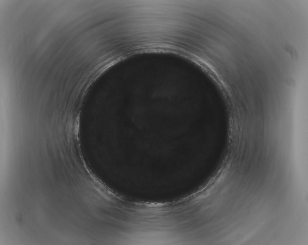 X0000114240841200911061546