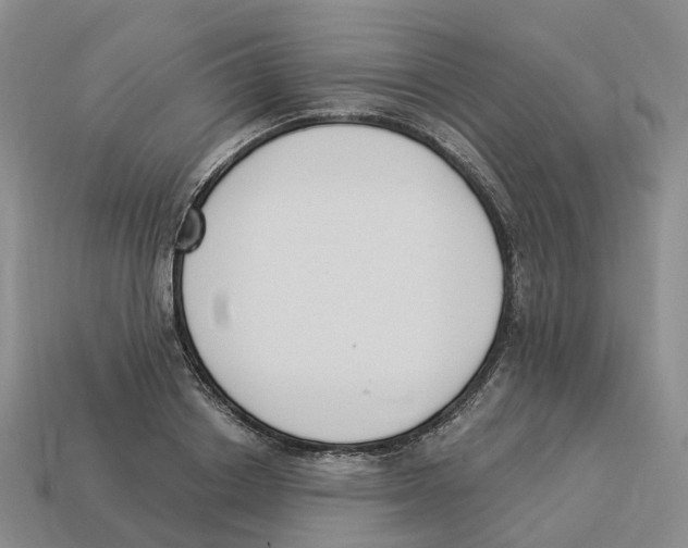 X0000114240842200911061546