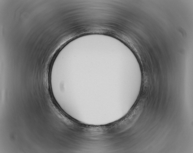 X0000114240843200911061546