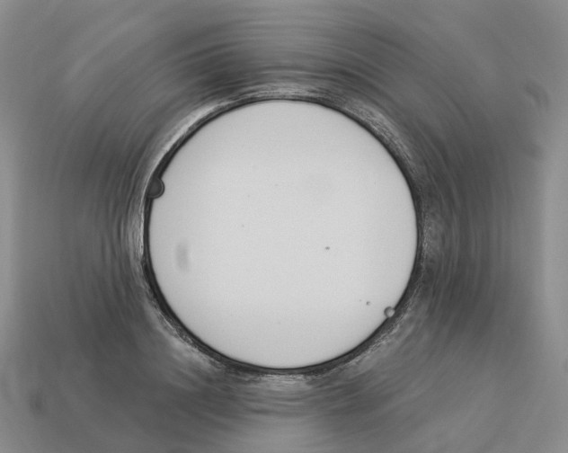 X0000114240844200911061546