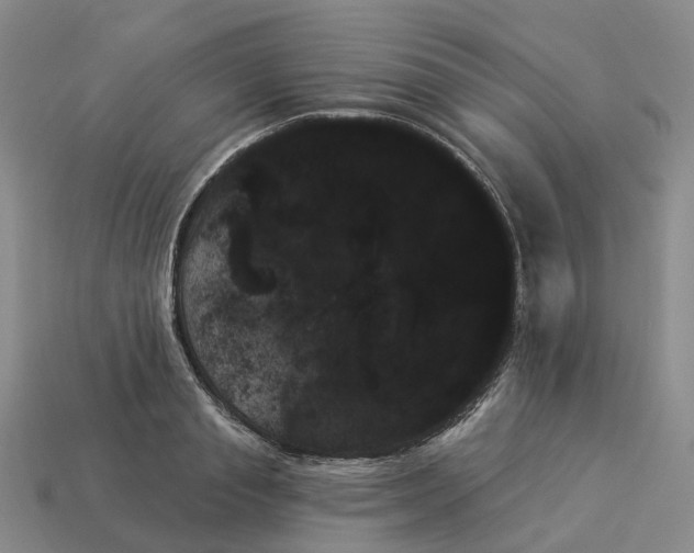 X0000114240845200911061546
