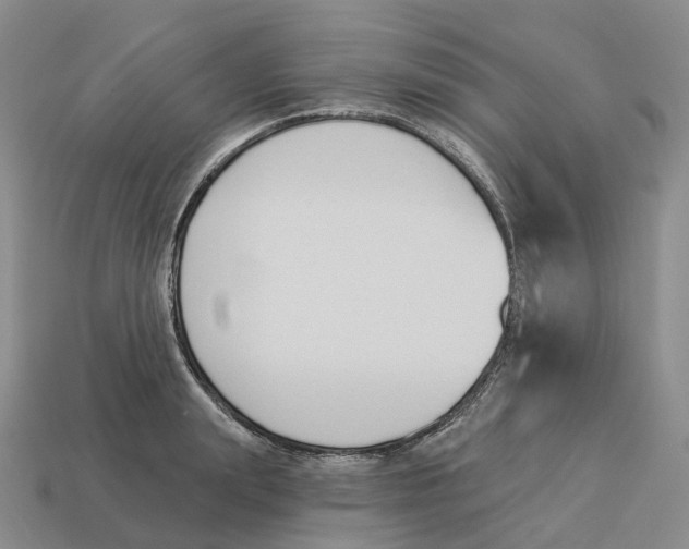 X0000114240847200911061546