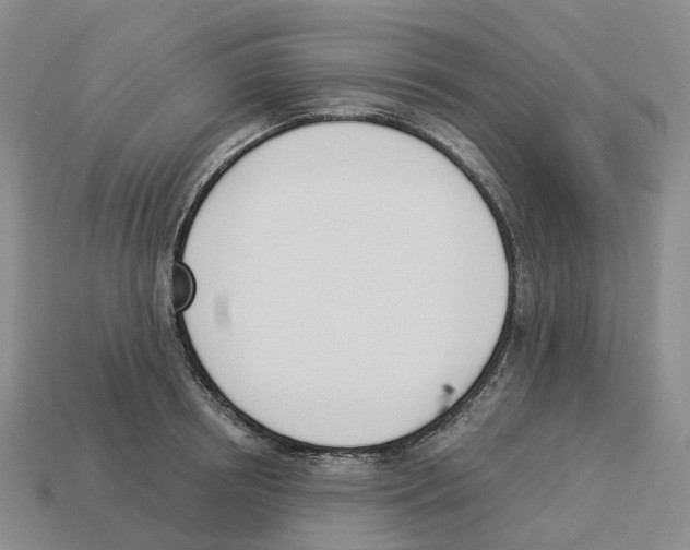 X0000114240850200911061546