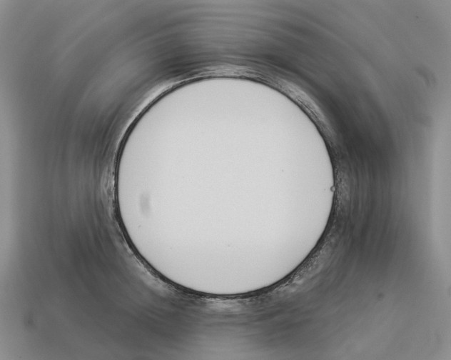 X0000114240852200911061546