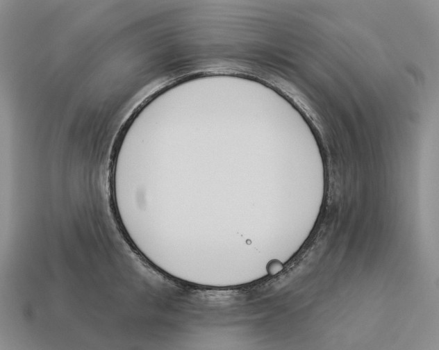 X0000114240853200911061546