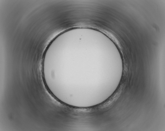X0000114240855200911061546