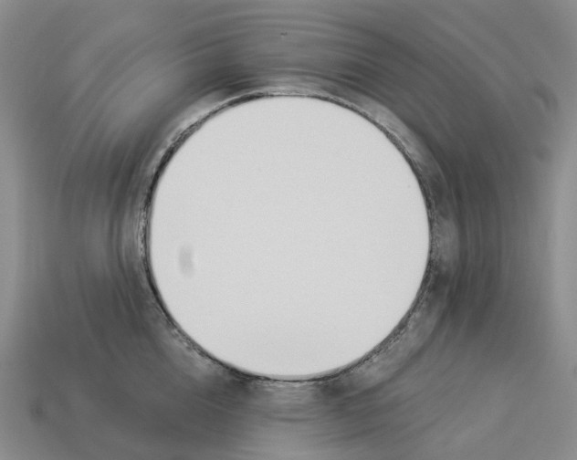 X0000114240856200911061546