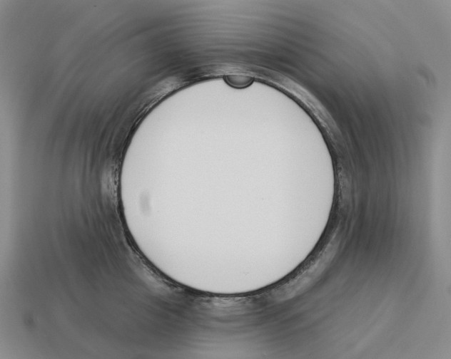 X0000114240857200911061546
