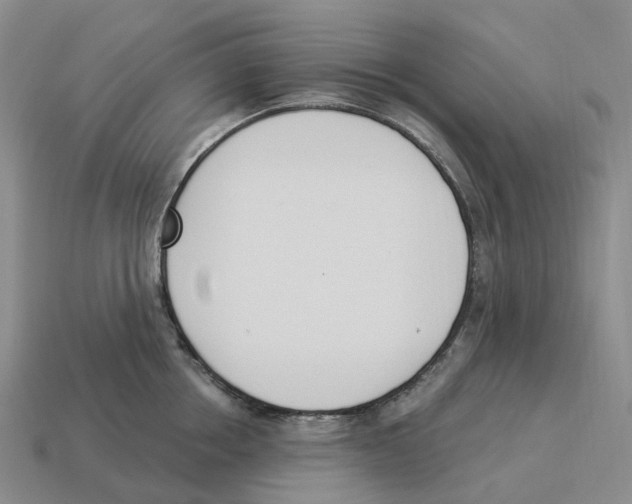 X0000114240858200911061546