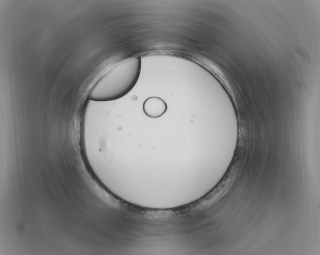 X0000114240859200911061546