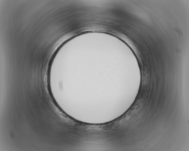 X0000114240861200911061546