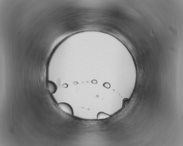 X0000114240862200911061546