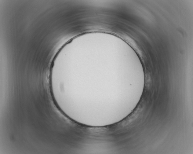 X0000114240863200911061546