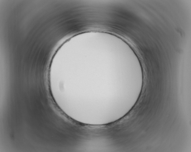 X0000114240864200911061546