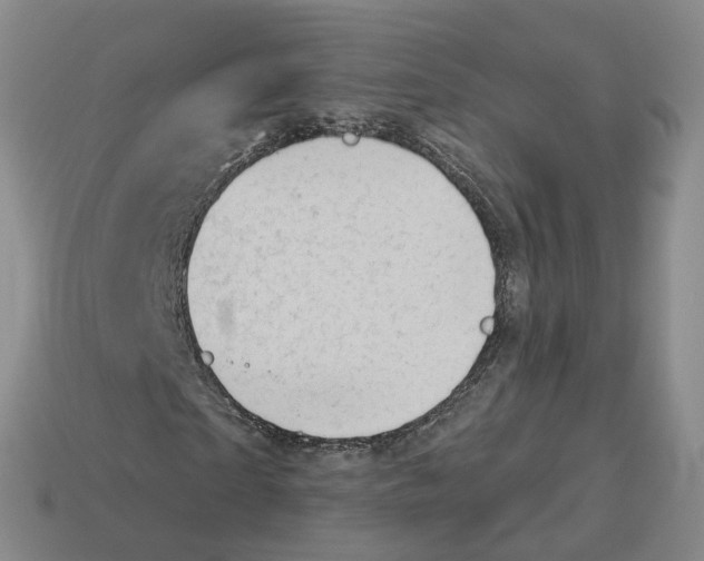 X0000114240865200911061546
