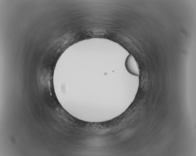 X0000114240866200911061546