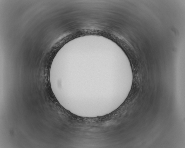 X0000114240870200911061546